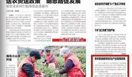 八村最新爆料新闻报道内容,揭秘背后惊人真相！”